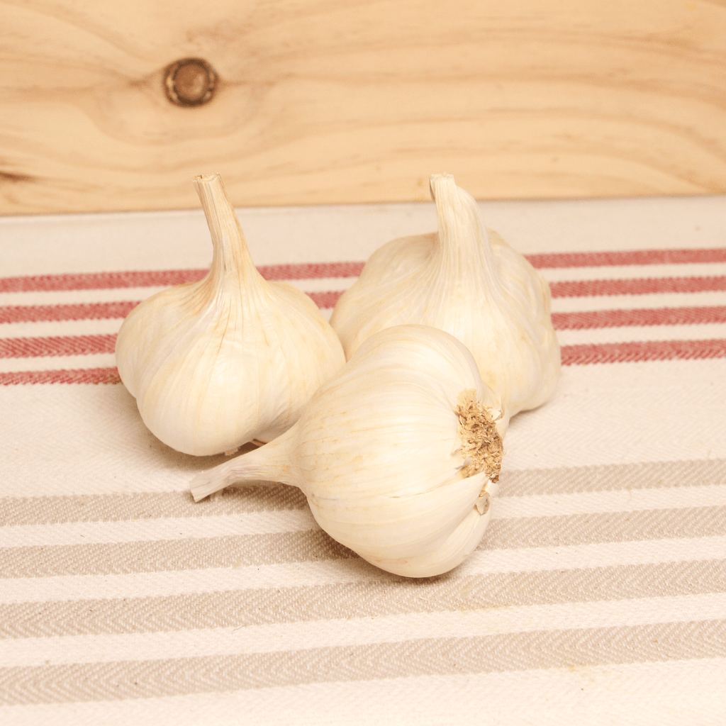 Ail blanc sec BIO - 150g Sud Ouest vrac-zero-dechet-ecolo-toulouse