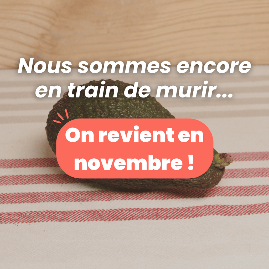 Avocat Hass BIO - La pièce NOT_APPLICABLE vrac-zero-dechet-ecolo-toulouse