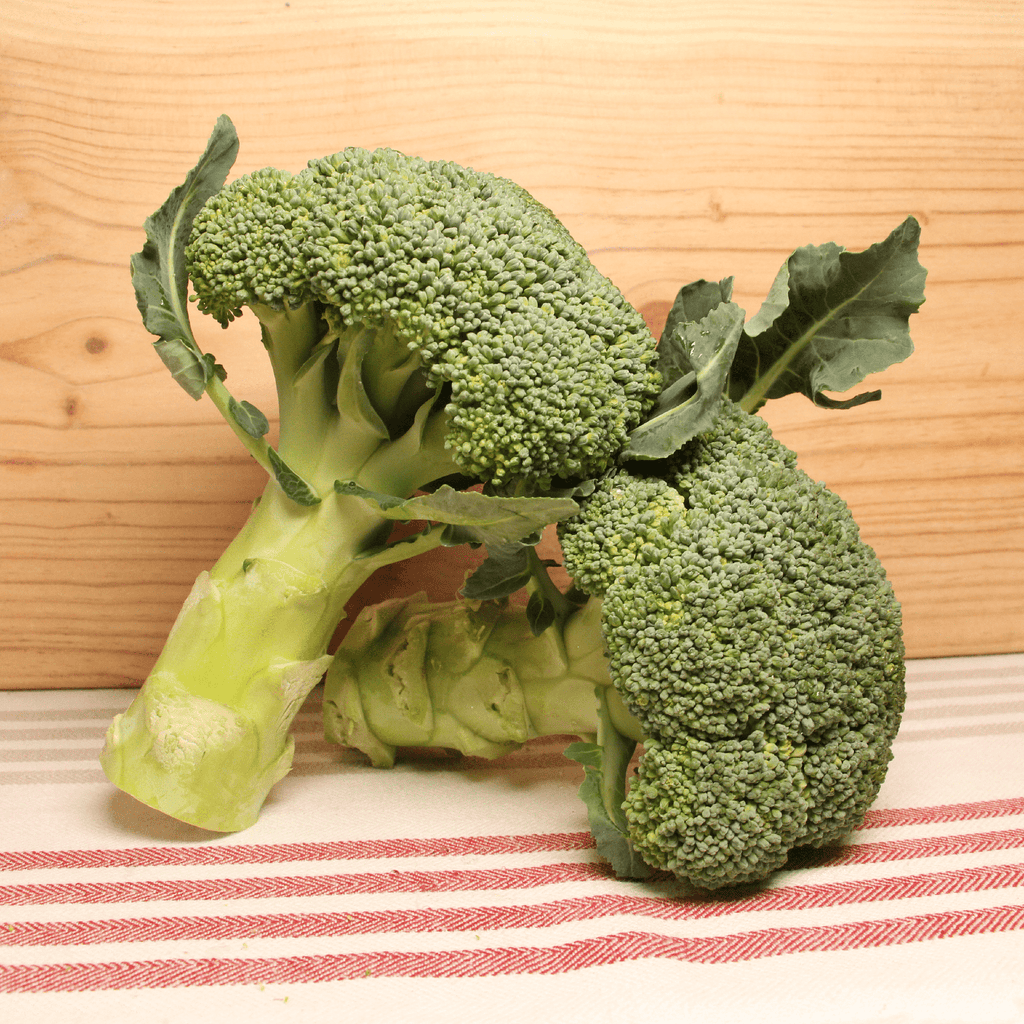 Brocolis BIO -La pièce NOT_APPLICABLE vrac-zero-dechet-ecolo-toulouse