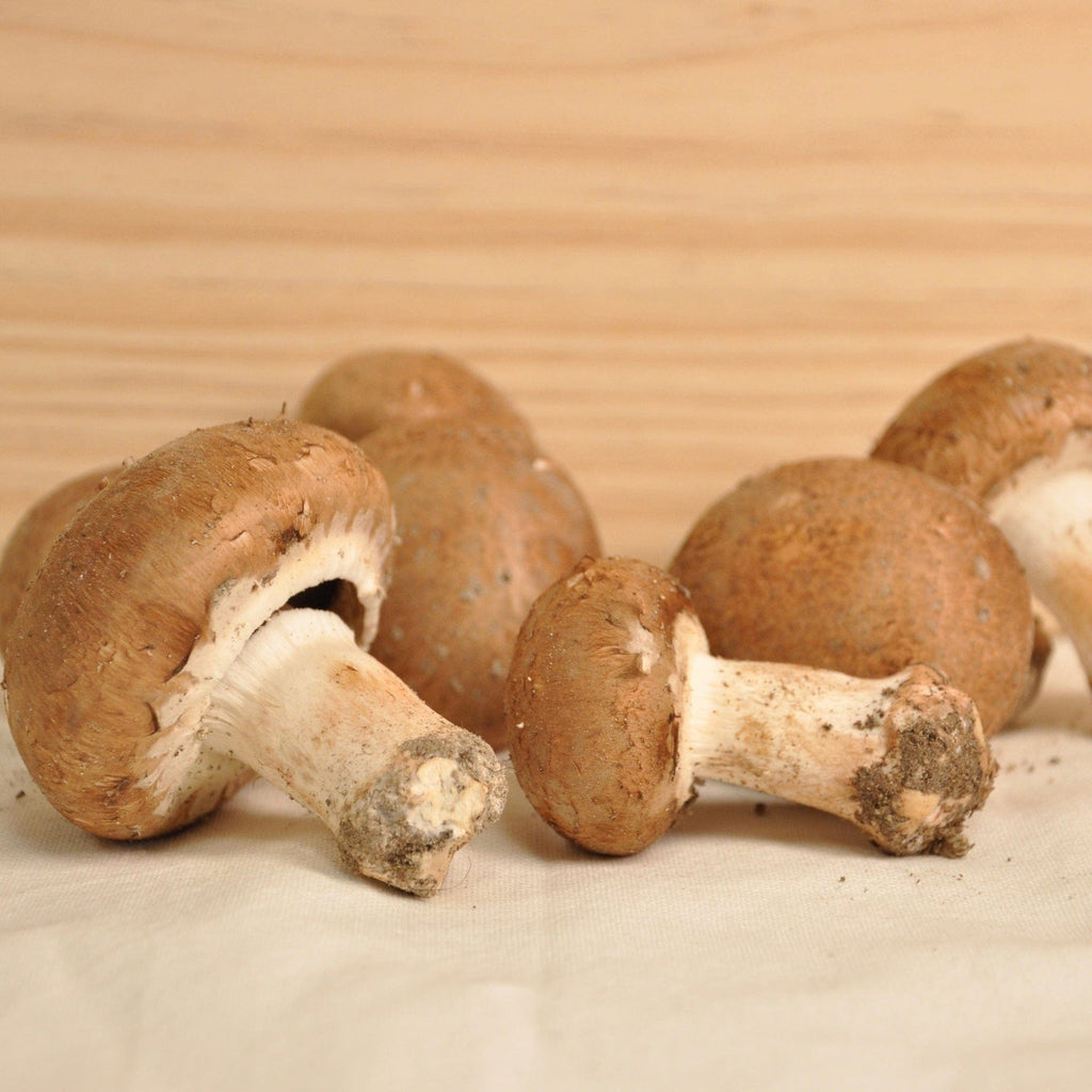 Champignon de Paris brun pied entier BIO - 250g NOT_APPLICABLE vrac-zero-dechet-ecolo-toulouse