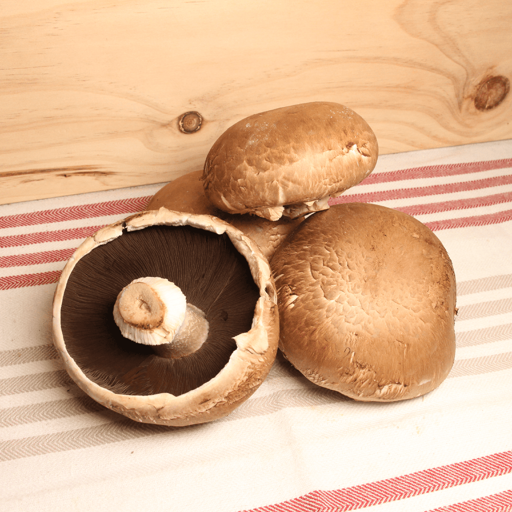 Champignon Portobello BIO - 300g Sud Ouest vrac-zero-dechet-ecolo-toulouse