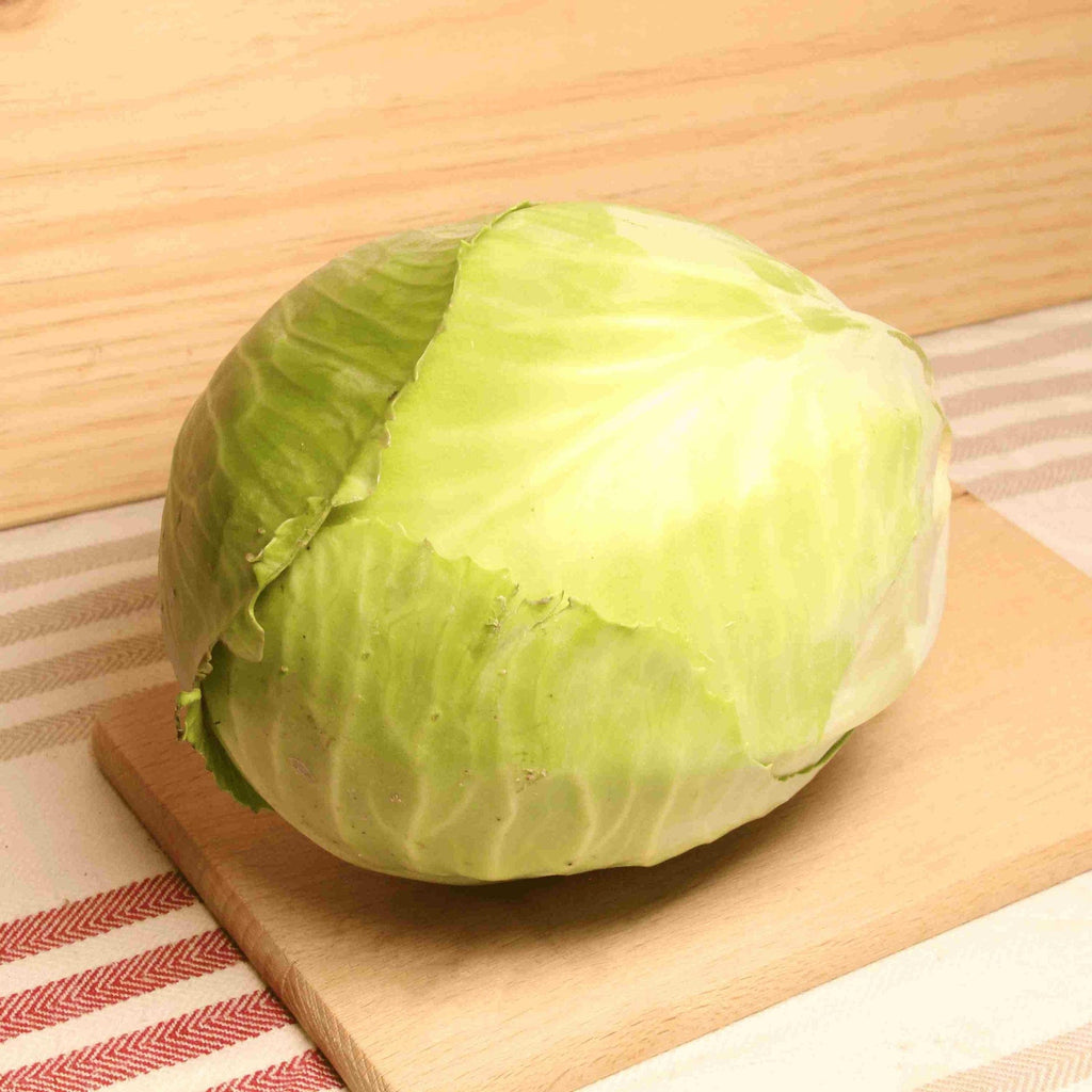 Chou blanc BIO - La pièce - ANTIGASPI NOT_APPLICABLE vrac-zero-dechet-ecolo-toulouse