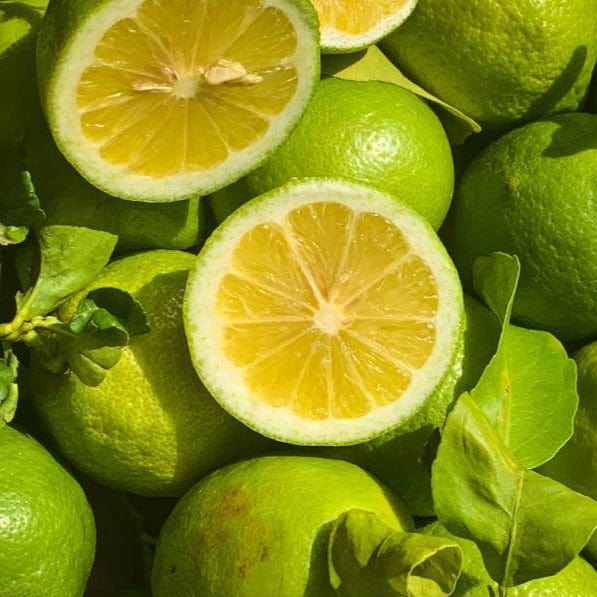 Citron jaune (coloration verte) BIO - 500g NOT_APPLICABLE vrac-zero-dechet-ecolo-toulouse