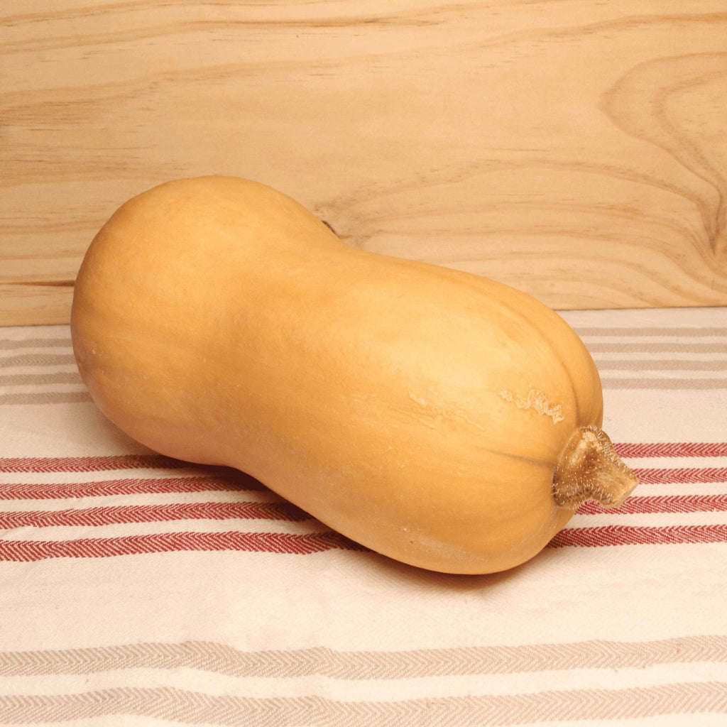 Courge Butternut BIO - La pièce Le Bon Plant vrac-zero-dechet-ecolo-toulouse