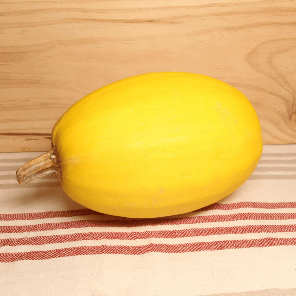 Courge Spaghetti BIO - La pièce Le Bon Plant vrac-zero-dechet-ecolo-toulouse