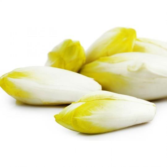 Endive BIO - 400 g NOT_APPLICABLE vrac-zero-dechet-ecolo-toulouse