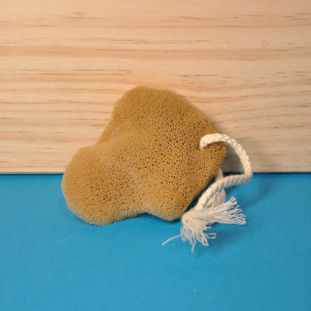 Eponge de mer démaquillante Jimbei vrac-zero-dechet-ecolo-toulouse