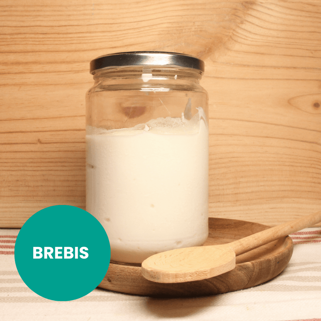 Fromage Blanc Brebis Bio - 700 g Biochamps vrac-zero-dechet-ecolo-toulouse