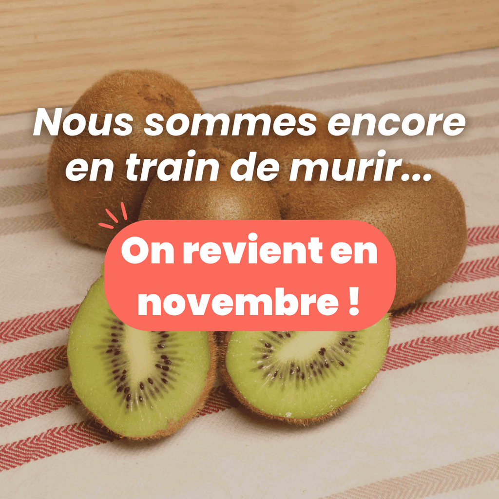 Kiwi vert BIO - 4 Pièces NOT_APPLICABLE vrac-zero-dechet-ecolo-toulouse