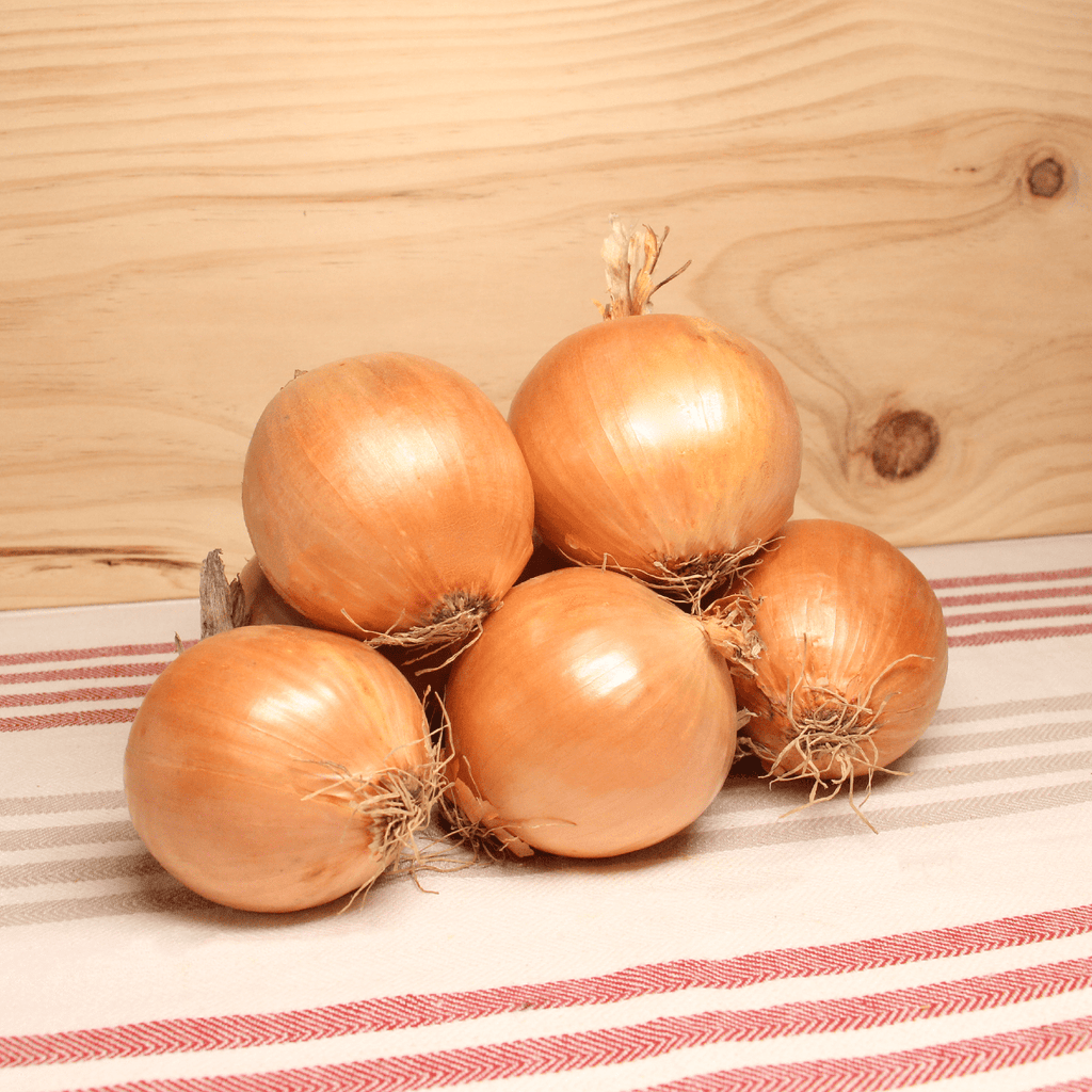 Oignon jaune BIO - 1kg NOT_APPLICABLE vrac-zero-dechet-ecolo-toulouse