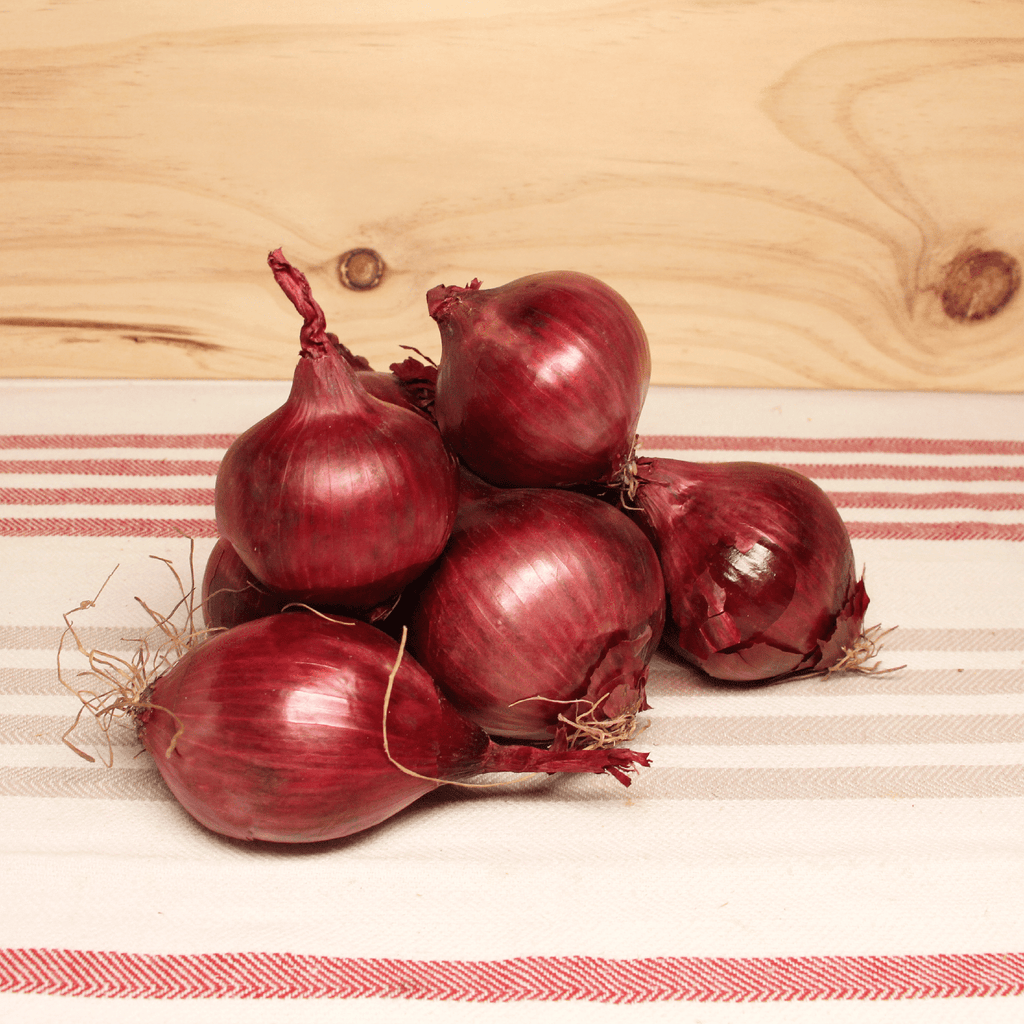 Oignon rouge BIO - 500g NOT_APPLICABLE vrac-zero-dechet-ecolo-toulouse