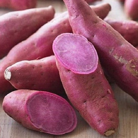 Patate douce violette BIO - 1kg Le Bon Plant vrac-zero-dechet-ecolo-toulouse