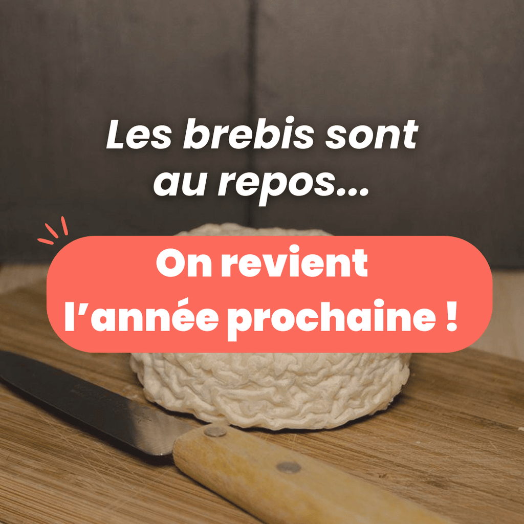 Petit crémeux de brebis au lait cru des Pyrénées Fromagerie du Plateau vrac-zero-dechet-ecolo-toulouse