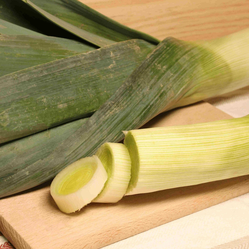 Poireau BIO - 750g NOT_APPLICABLE vrac-zero-dechet-ecolo-toulouse