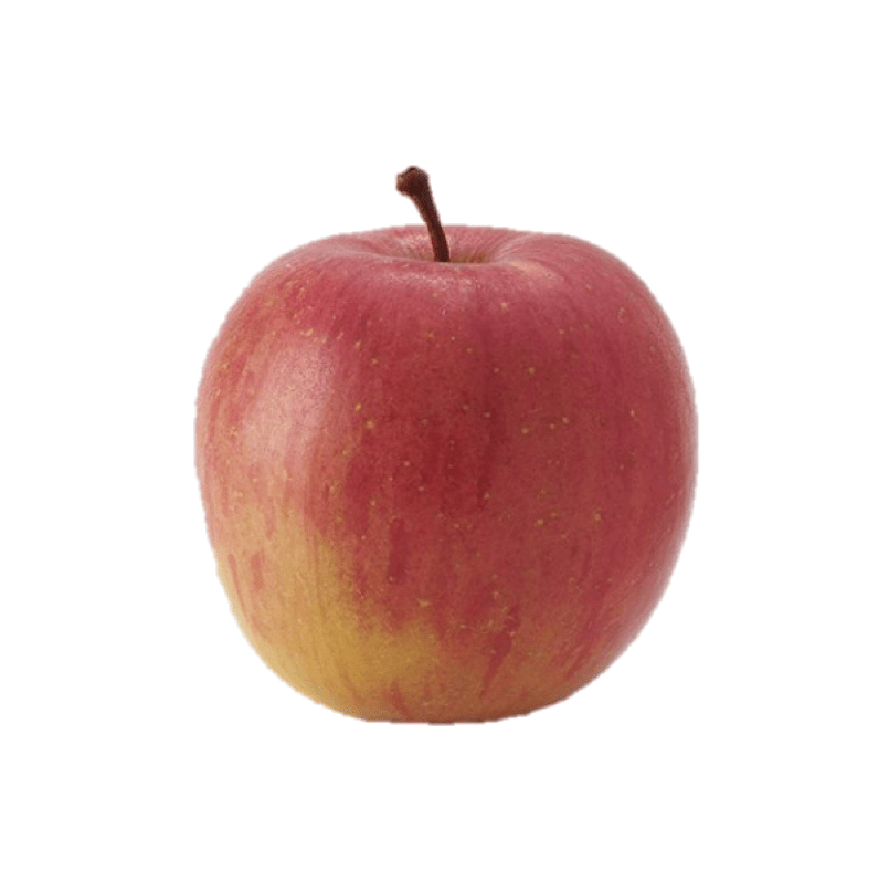 Pomme bicolore Pitchounette BIO - 1kg Sud Ouest vrac-zero-dechet-ecolo-toulouse