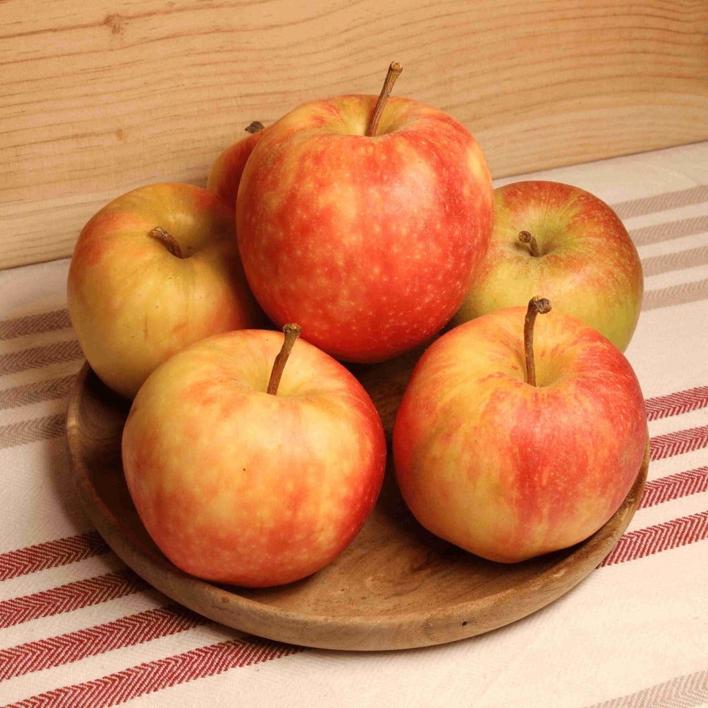 Pomme Gala BIO - 1kg NOT_APPLICABLE vrac-zero-dechet-ecolo-toulouse