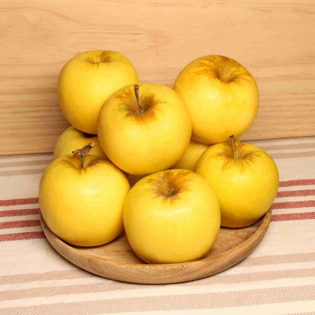 Pomme Opal BIO - 1kg Sud Ouest vrac-zero-dechet-ecolo-toulouse