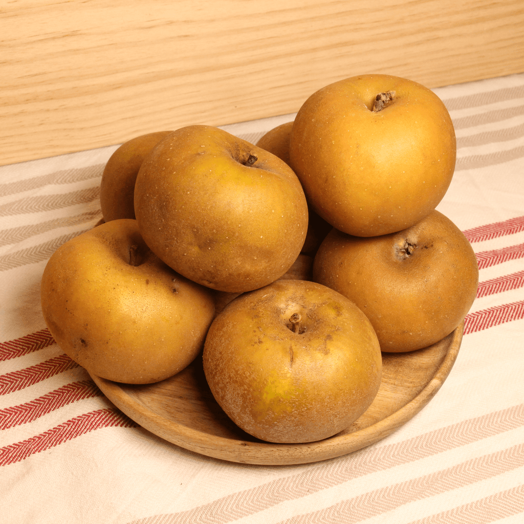 Pomme Reinette grise Canada BIO - 1kg NOT_APPLICABLE vrac-zero-dechet-ecolo-toulouse