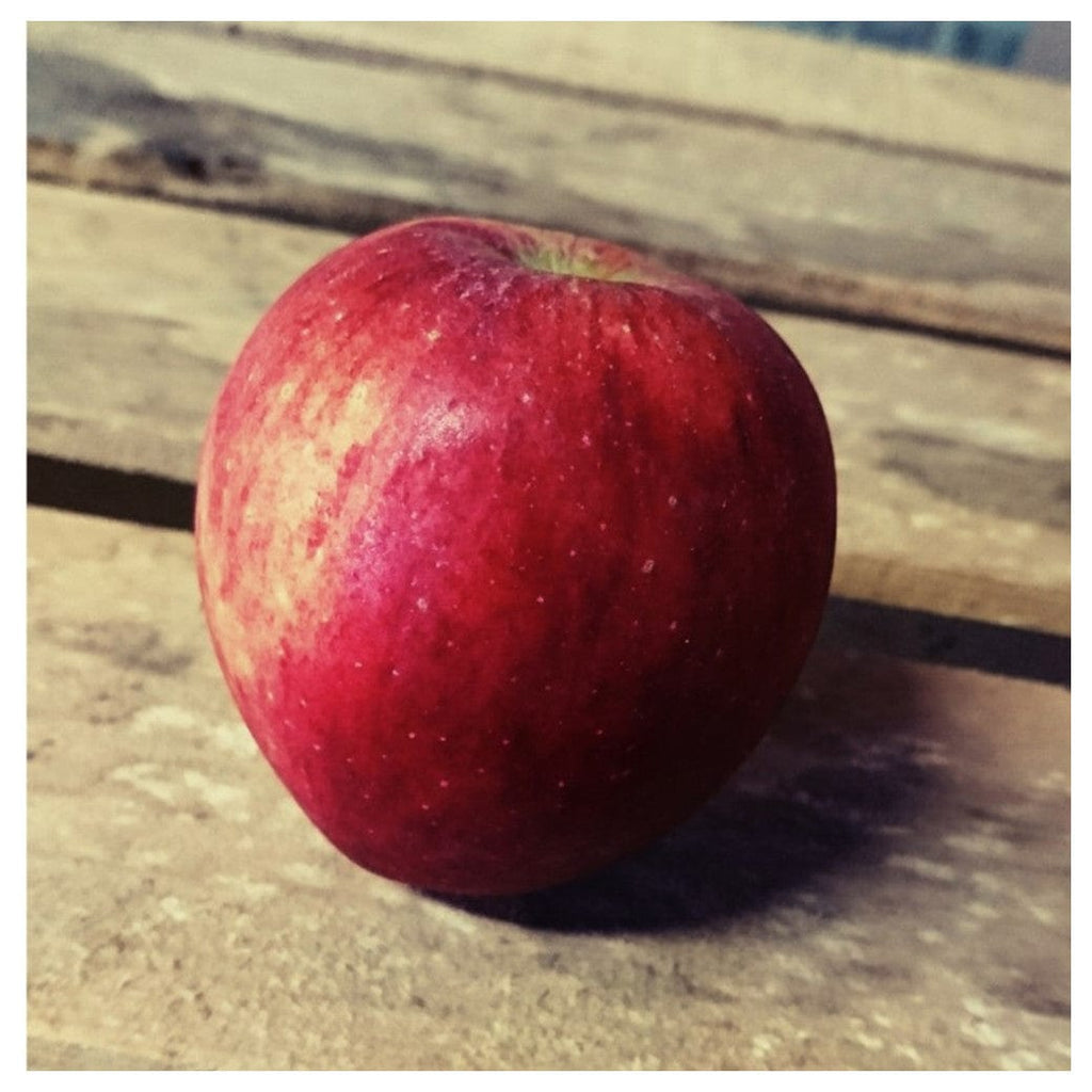 Pomme Rougelle BIO - 1kg Sud Ouest vrac-zero-dechet-ecolo-toulouse