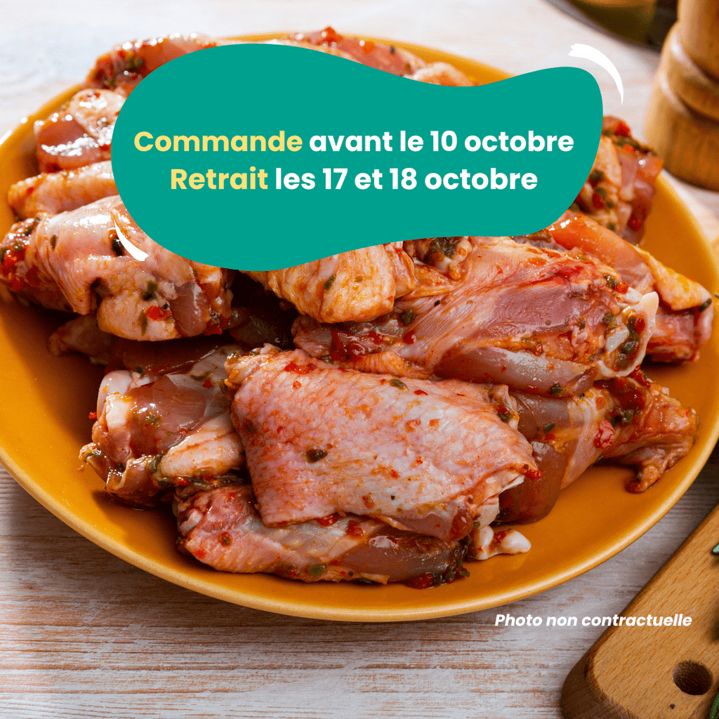 PRÉCOMMANDE Ailes de poulet marinées (1kg) Domaine des Tuileries vrac-zero-dechet-ecolo-toulouse