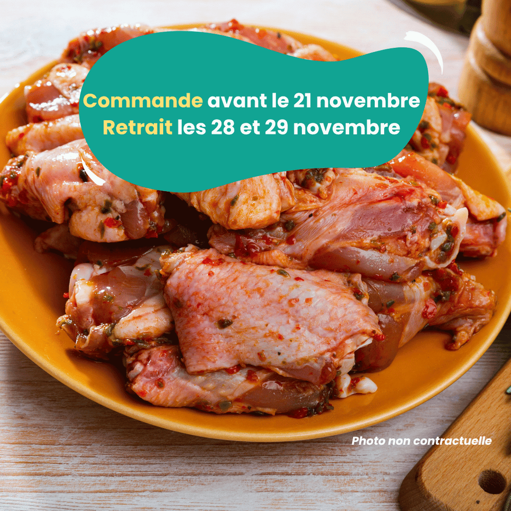 PRÉCOMMANDE Ailes de poulet marinées (1kg) Domaine des Tuileries vrac-zero-dechet-ecolo-toulouse