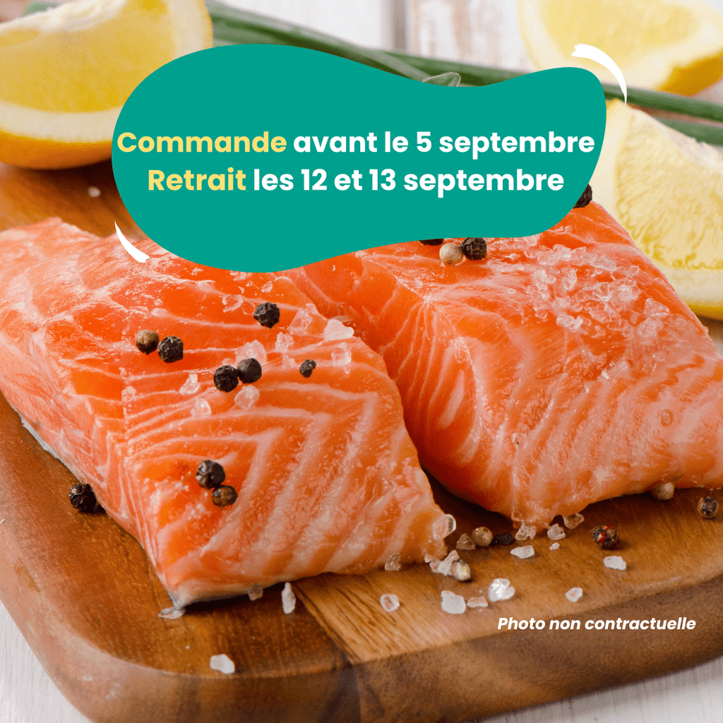 PRÉCOMMANDE AVEC ACOMPTE - Pavés de truite (300 à 400g) PSS31 vrac-zero-dechet-ecolo-toulouse