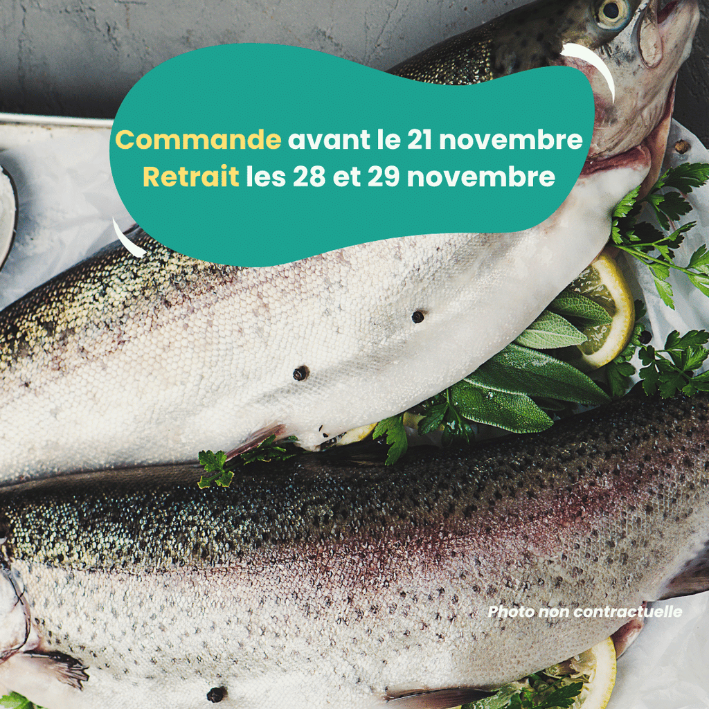 PRÉCOMMANDE AVEC ACOMPTE - Truites à chair rose (460 à 500g) PSS31 vrac-zero-dechet-ecolo-toulouse