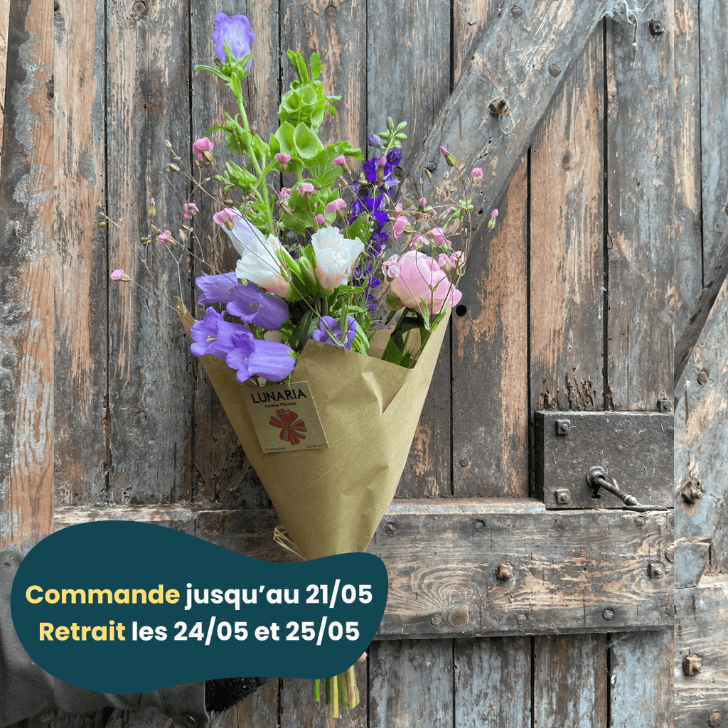 PRÉCOMMANDE - Bouquet de fleurs locales Lunaria vrac-zero-dechet-ecolo-toulouse
