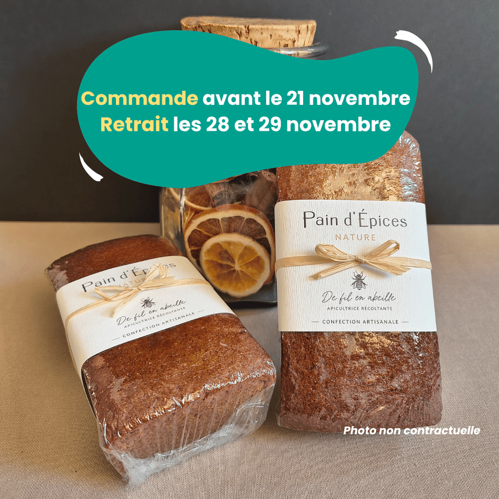 PRÉCOMMANDE - Pain d'épices Nature - 260g De Fil en Abeille vrac-zero-dechet-ecolo-toulouse