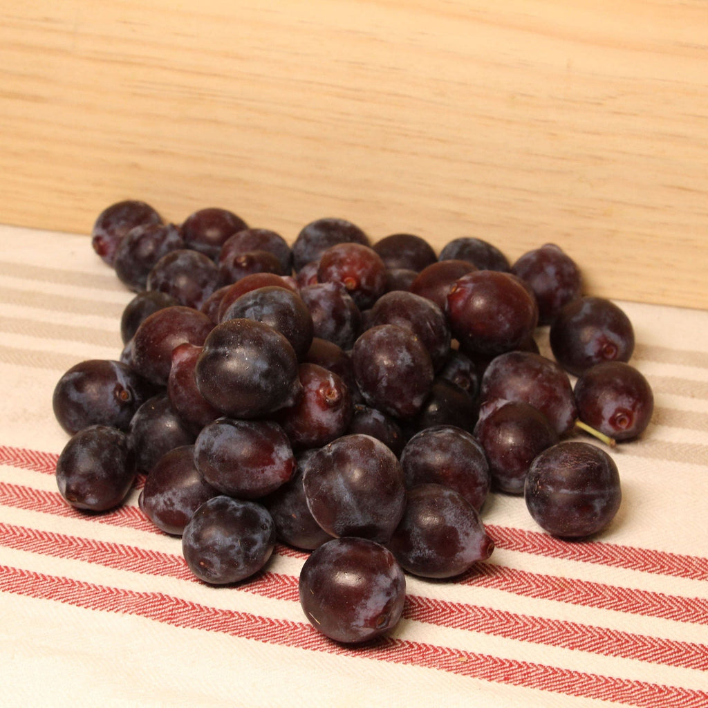 Prune Datil BIO - 500g Sud Ouest vrac-zero-dechet-ecolo-toulouse