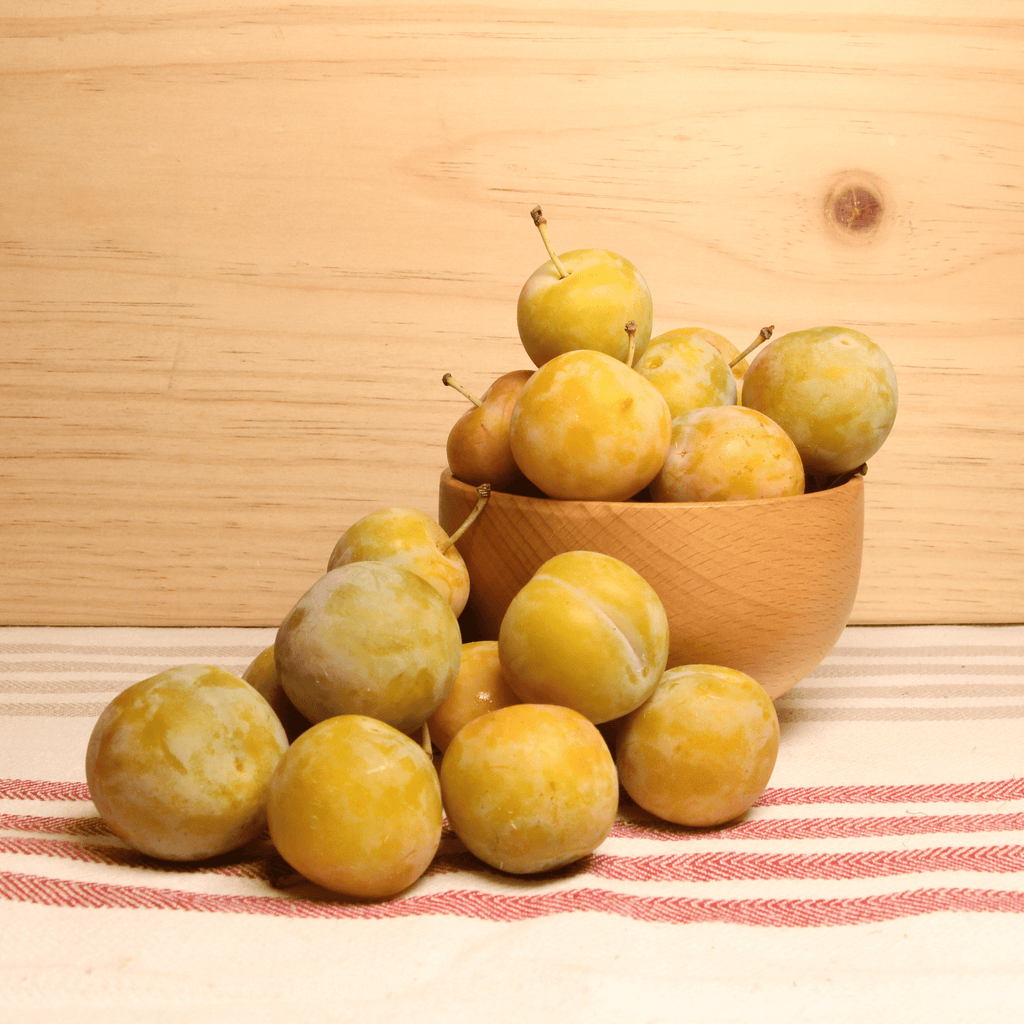 Prune Reine Claude BIO - 500g NOT_APPLICABLE vrac-zero-dechet-ecolo-toulouse