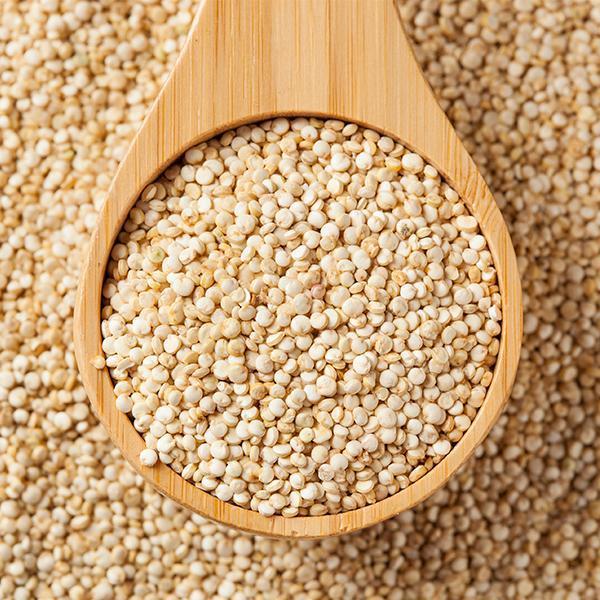 Quinoa blanc BIO - 500g Senfas vrac-zero-dechet-ecolo-toulouse