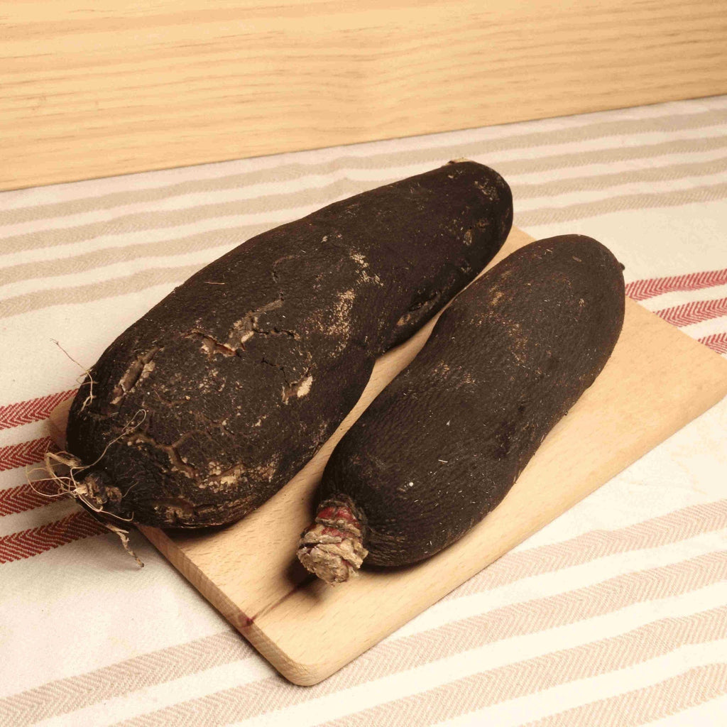 Radis Noir BIO - 500g Sud Ouest vrac-zero-dechet-ecolo-toulouse