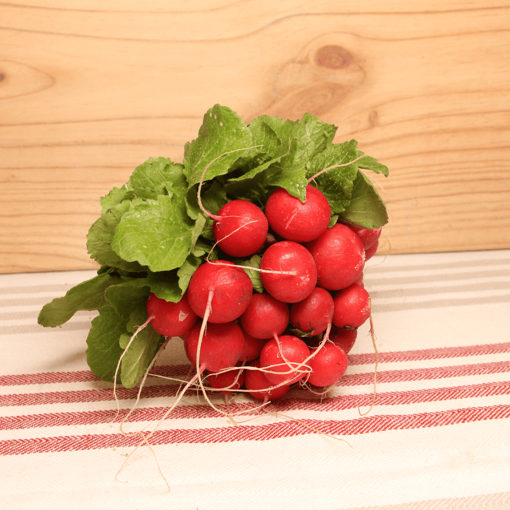 Radis rond rouge BIO - La botte Sud Ouest vrac-zero-dechet-ecolo-toulouse