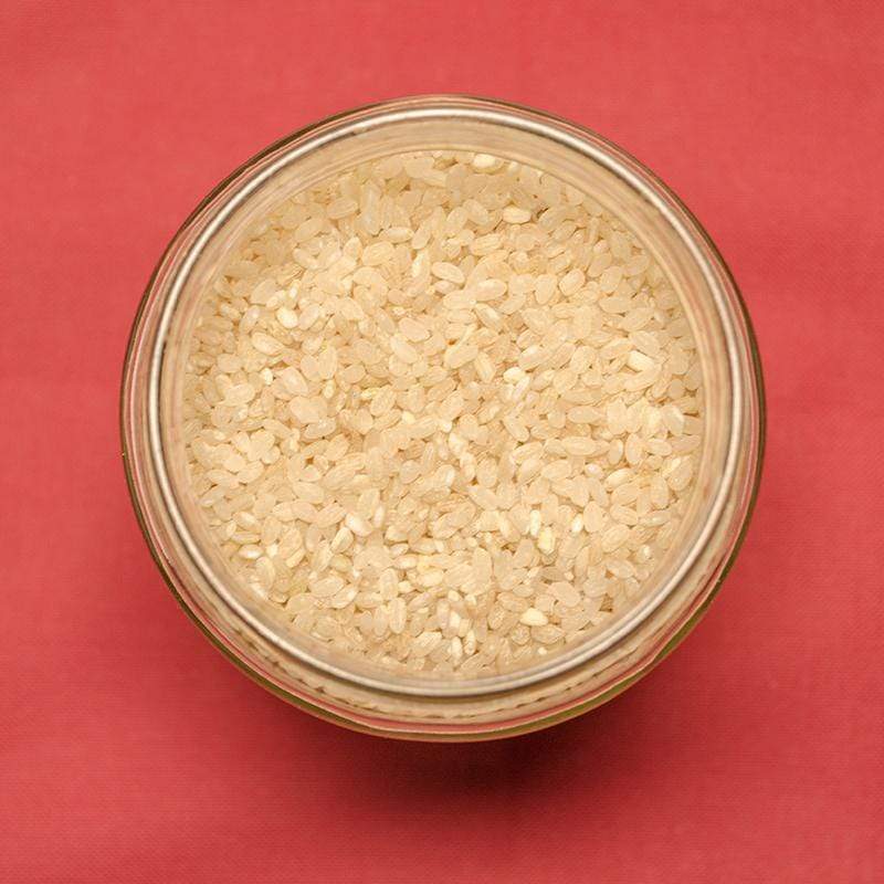 Riz rond semi-complet de Camargue IGP BIO - 500g Priméal vrac-zero-dechet-ecolo-toulouse