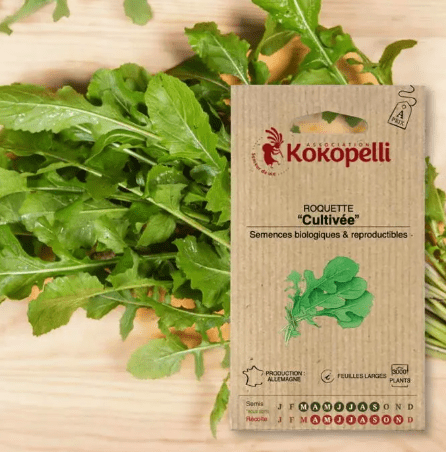 Semences - Roquette cultivée BIO Kokopelli vrac-zero-dechet-ecolo-toulouse