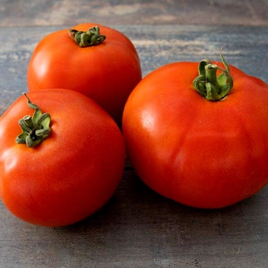 Tomate ronde BIO - 600g Sud Ouest vrac-zero-dechet-ecolo-toulouse