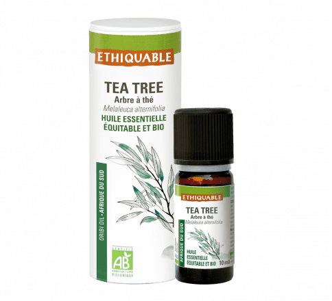 Huile essentielle -Tea tree / Arbre à thé 10mL Ethiquable vrac-zero-dechet-ecolo-toulouse