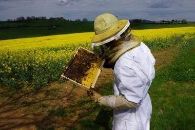 Miel de printemps - 250g GAEC entre terre et ciel vrac-zero-dechet-ecolo-toulouse